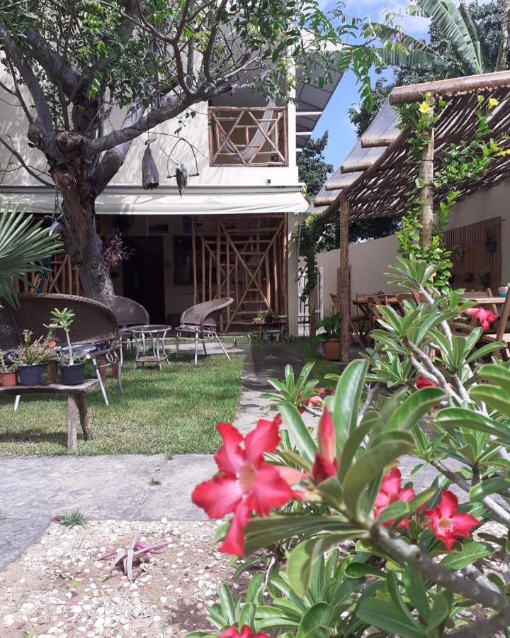 Casa Eolica Hotel Barra Grande  Bagian luar foto